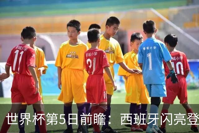 世界杯第5日前瞻：西班牙闪亮登场 伊沙亮相力争开门红